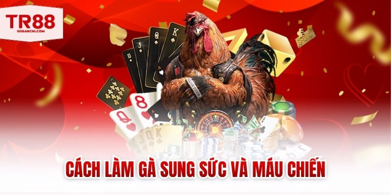 Cách Làm Gà Sung Sức Và Máu Chiến