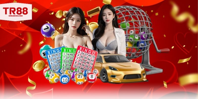 Giới thiệu tổng quan về số đá là gì