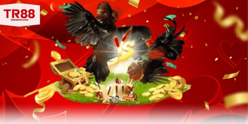 Mỗi loại đều có nét đẹp và ưu điểm riêng biệt