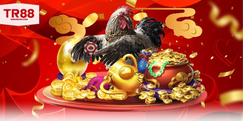 Thực hiện luyện tập theo từng giai đoạn